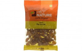 Pro Nature Organic Raisins   Pack  100 grams